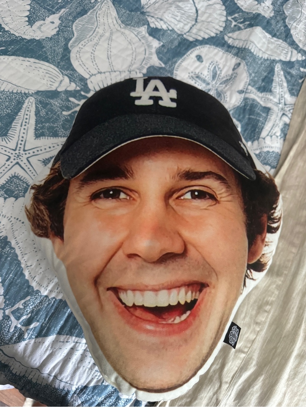 David Dobrik‘s pillow head